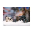 Kép 8/12 - Star Wars - A Hoth ostroma
