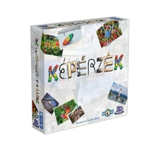 Képérzék