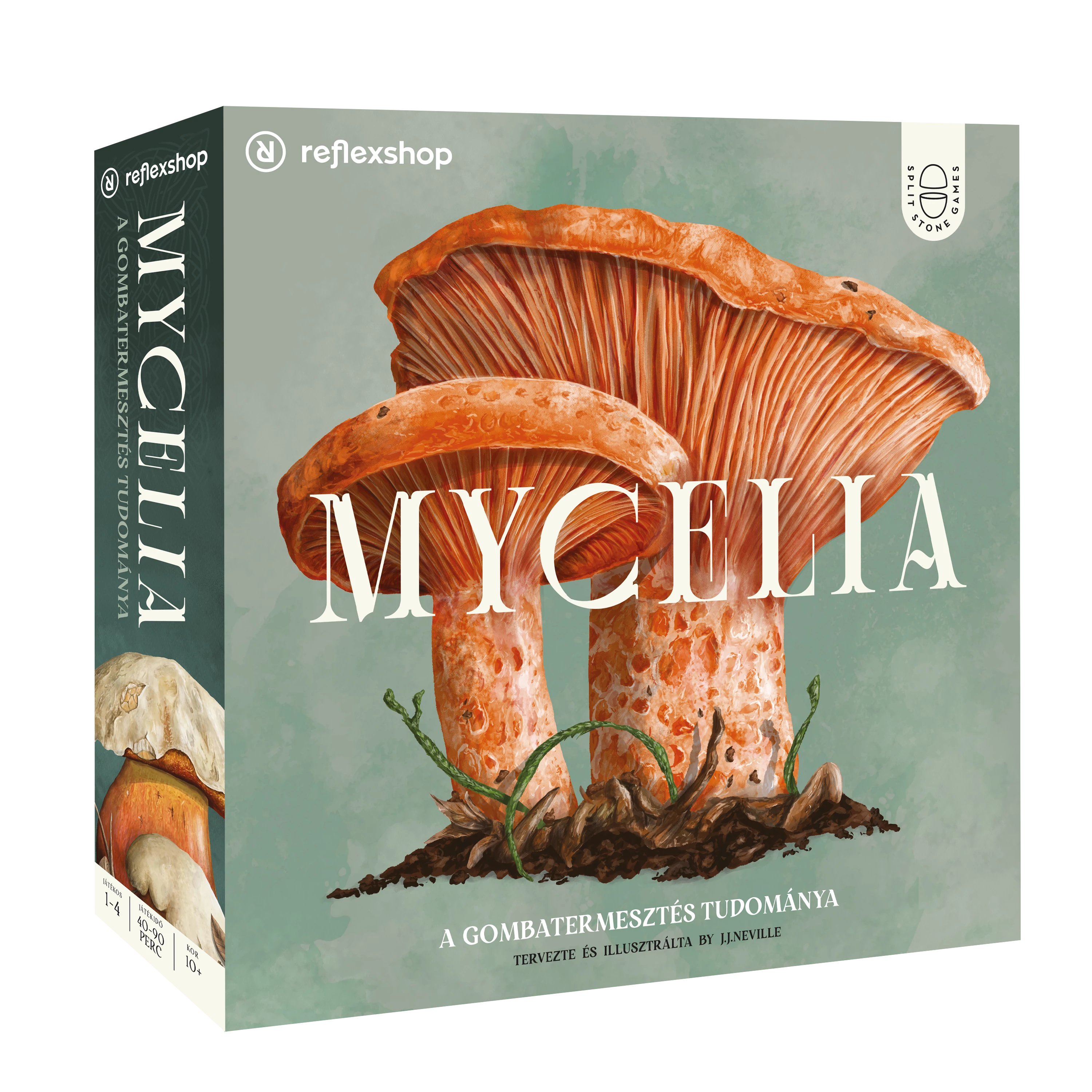 Mycelia